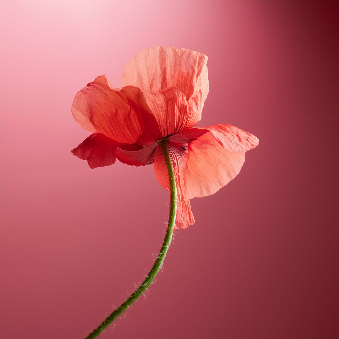 Floral Artwork - Centre Rockland