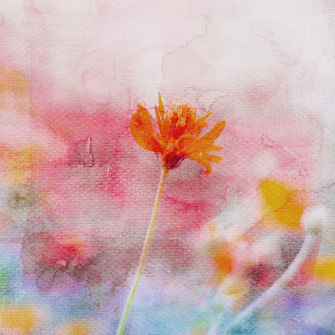 Watercolour Painting Workshop - Centre Rockland