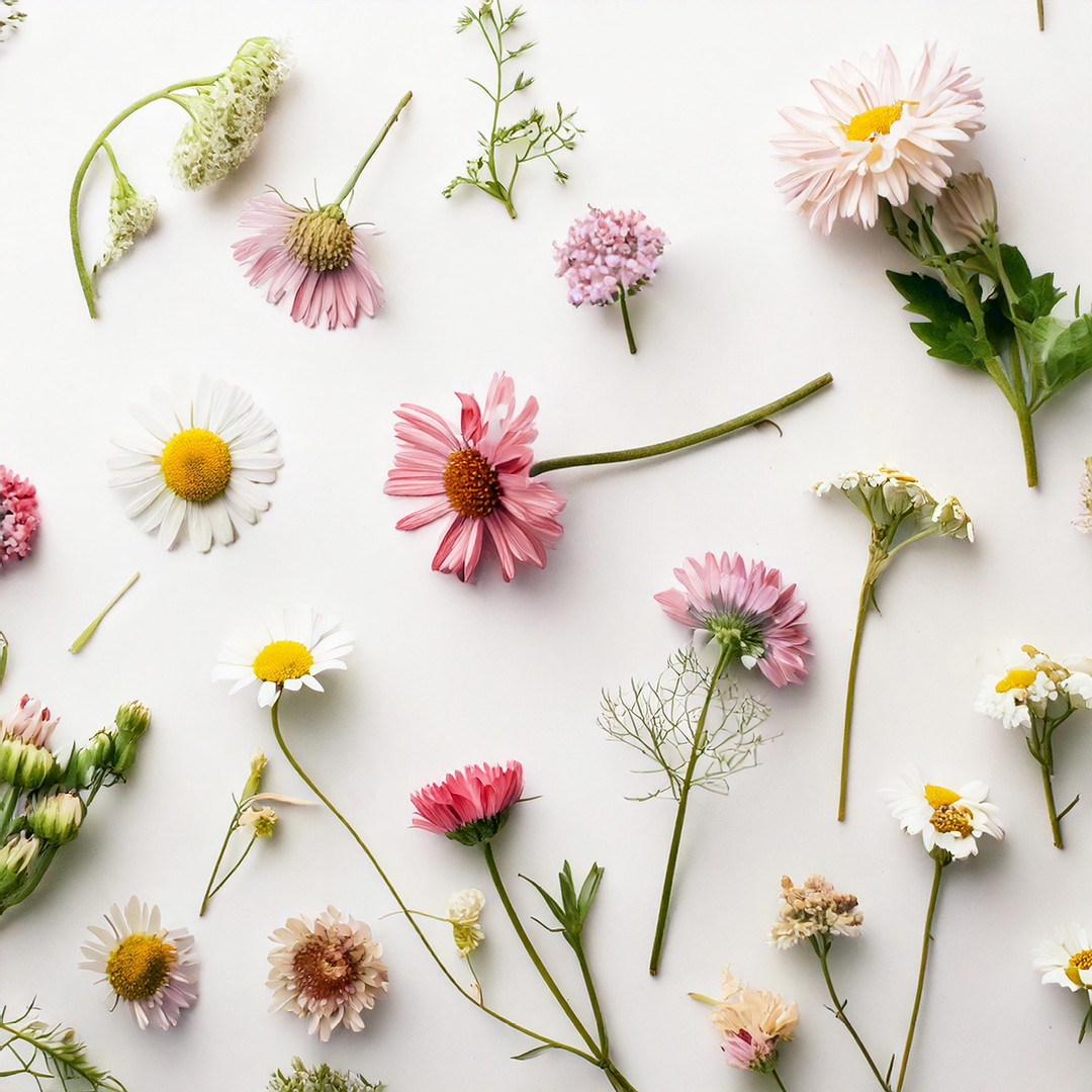 Botanical Eco-Printing Workshop - Centre Rockland