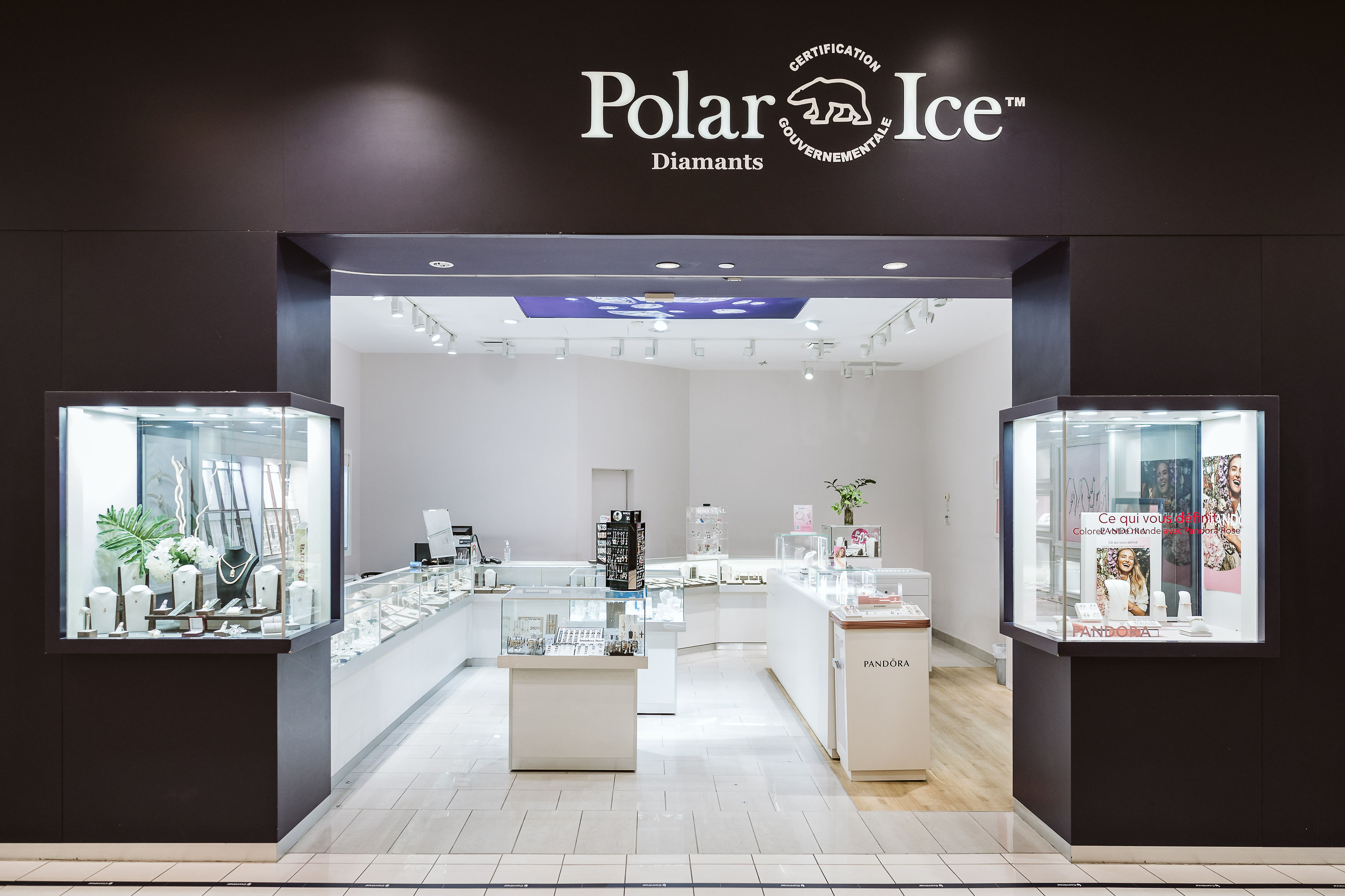 Polar Ice - Mail Champlain