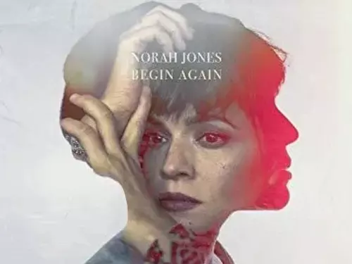 Vinyle Norah Jones